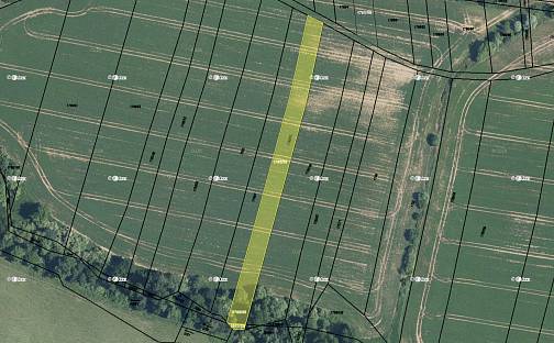 Prodej pole 2 199 m², Osvětimany, okres Uherské Hradiště