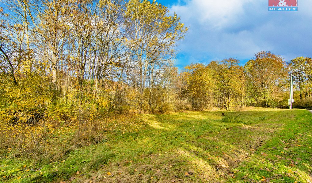 Prodej louky 3 120 m², Konstantinovy Lázně – náhled fotky 10