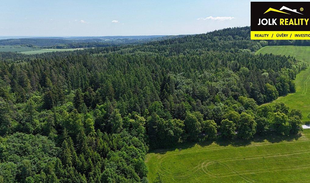 Prodej lesa 13 182 m², Vršovice – náhled fotky 4