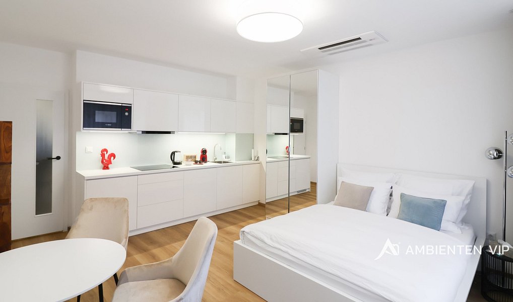 Pronájem bytu 1+kk 28 m², Brno – náhled fotky 2