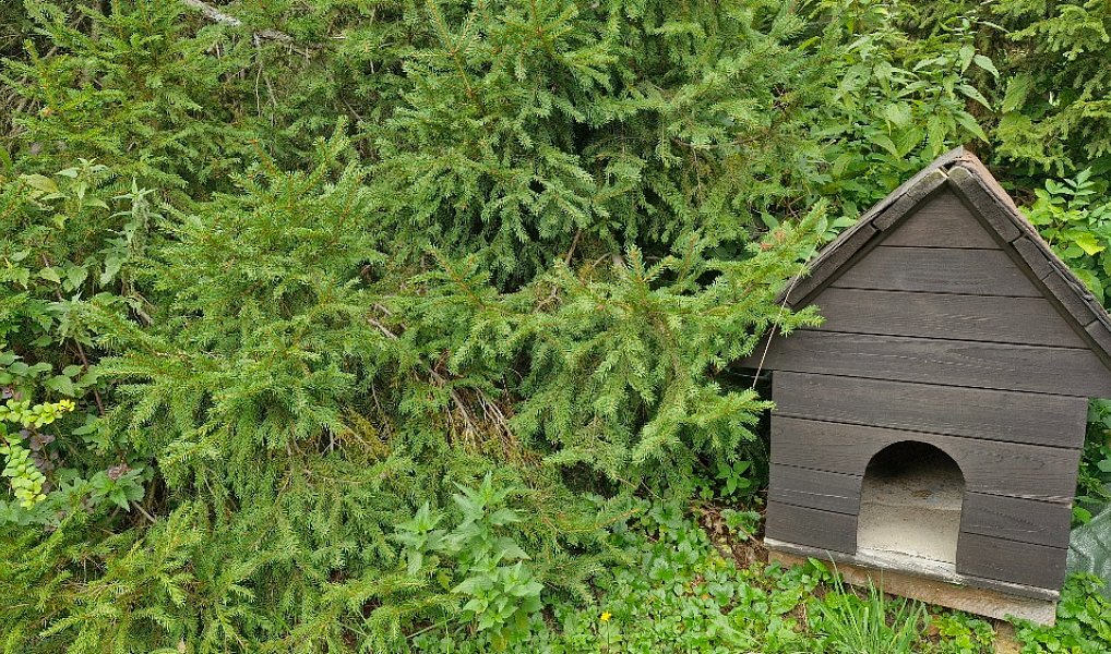 Prodej chaty/chalupy 90 m² s pozemkem 832 m², Valšov – náhled fotky 25