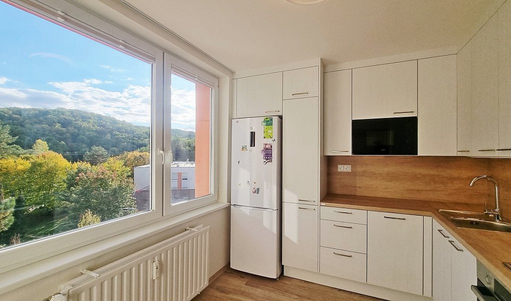Pronájem bytu 1+1, 32 m², Bystrc, Brno-město, Brno