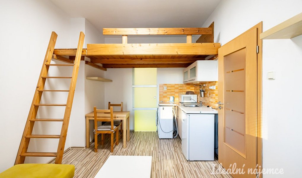 Pronájem bytu 1+kk 20 m², Praha – náhled fotky 2