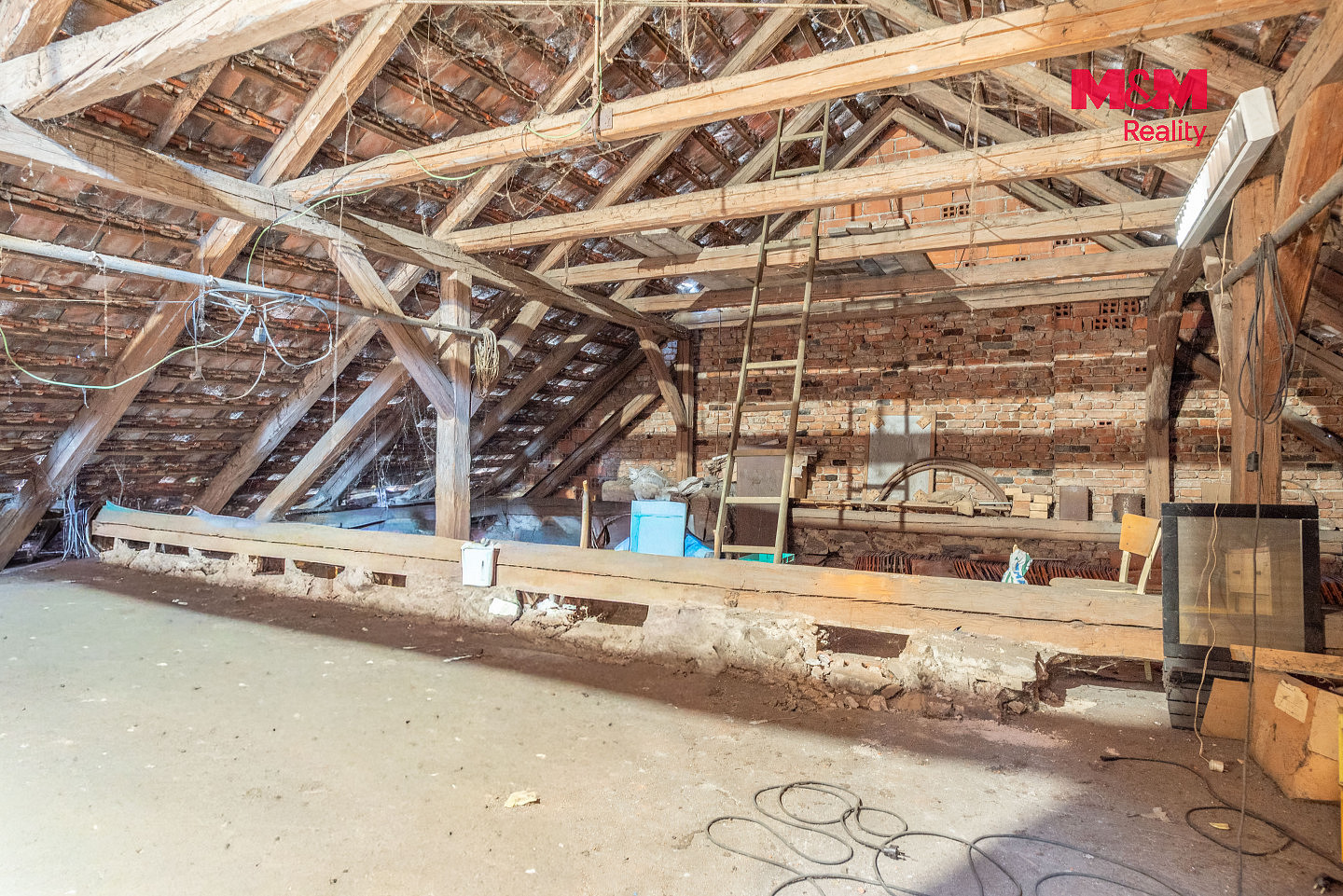 Fotka 16 z 30