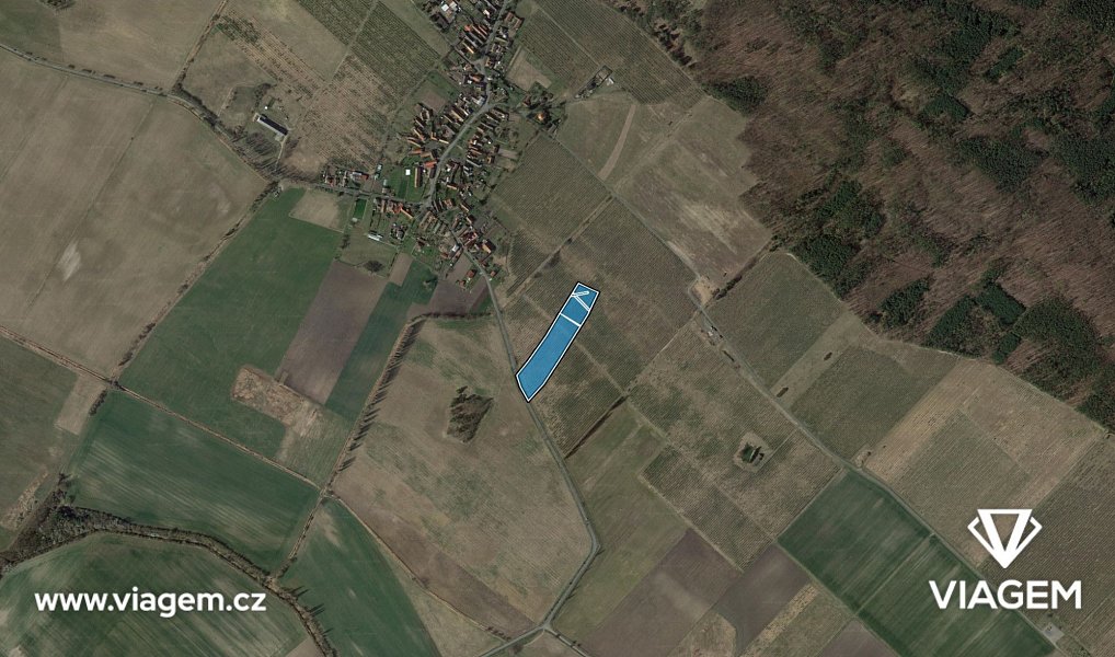 Prodej zahrady 2 981 m², Horušice – náhled fotky 3