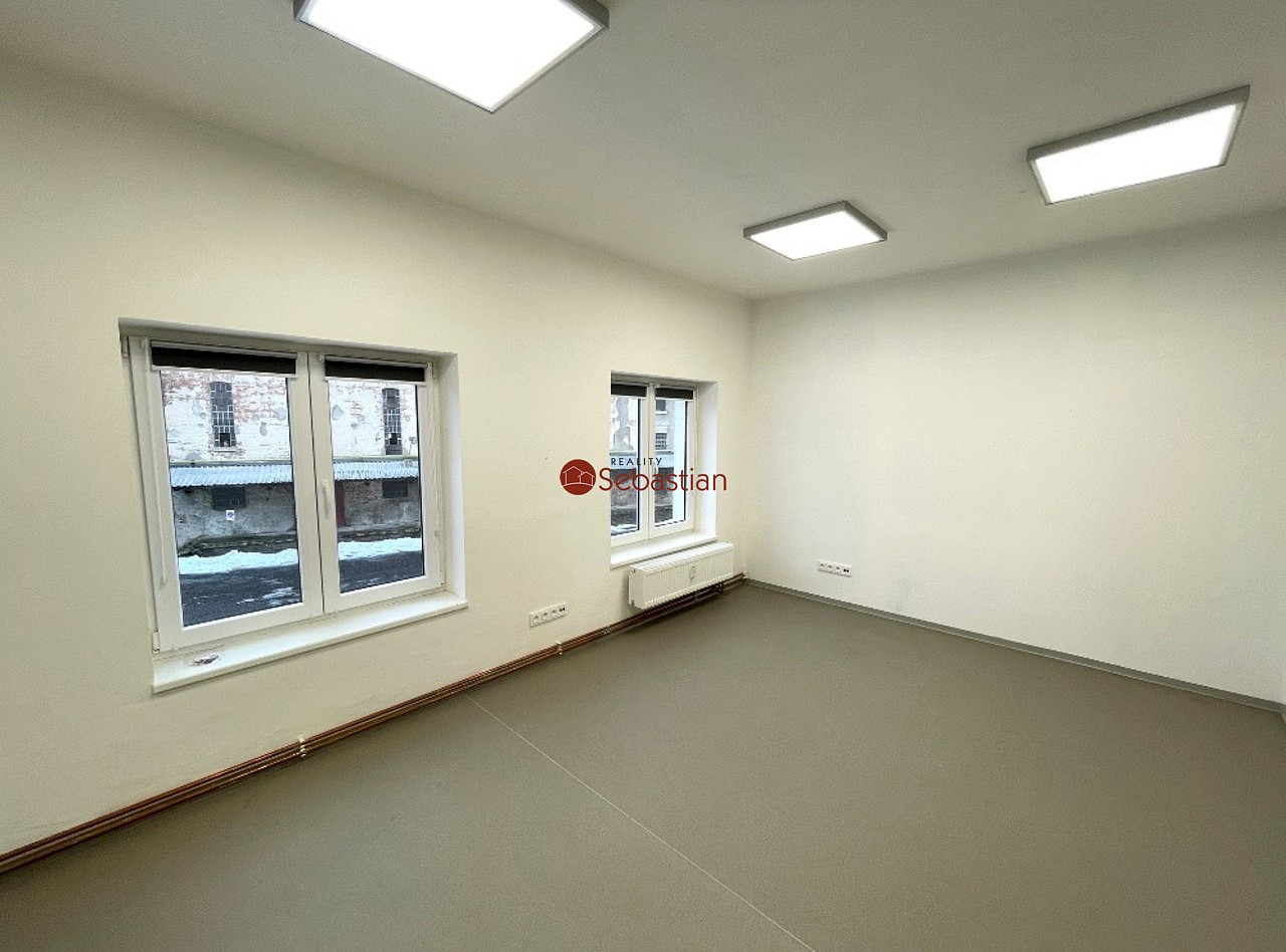 Pronájem obchodních prostor 245 m² — photo 3