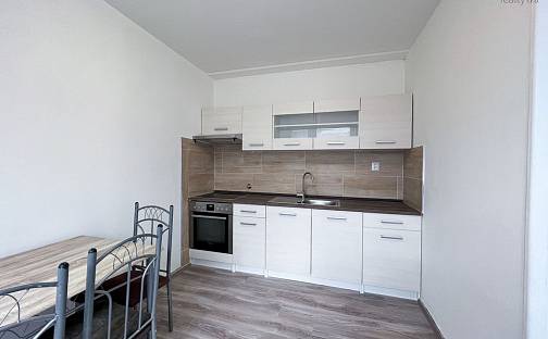 Prodej bytu 3+1 59 m², Krajní, Teplice - Prosetice