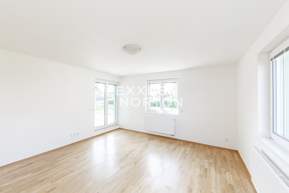Pronájem domu 400 m² s pozemkem 10 000 m² – fotografie 4