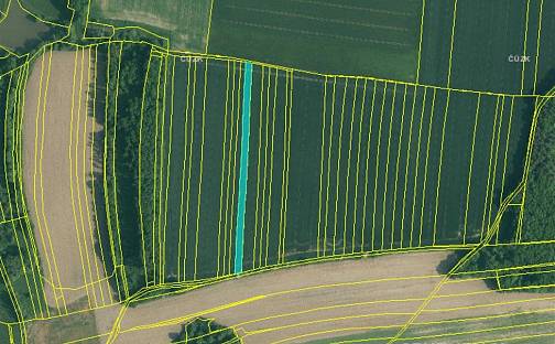 Prodej pole 5 402 m², Olešník, okres České Budějovice
