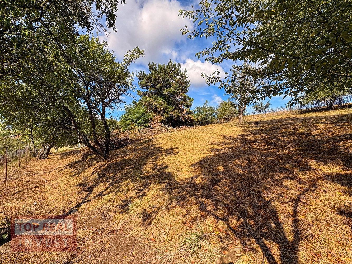 Prodej stavebního pozemku 1 260 m² – fotografie 4
