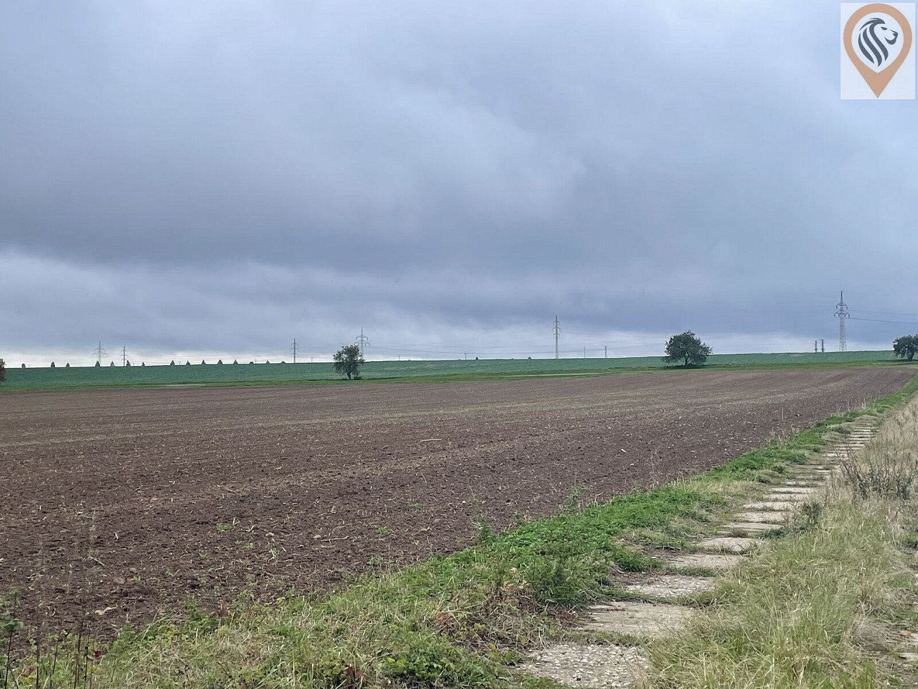 Prodej pole 51 051 m² – fotografie 2