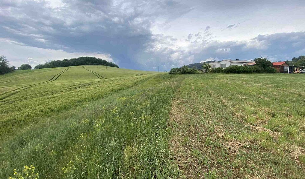 Prodej pozemku 1 561 m², Řehlovice – náhled fotky 3