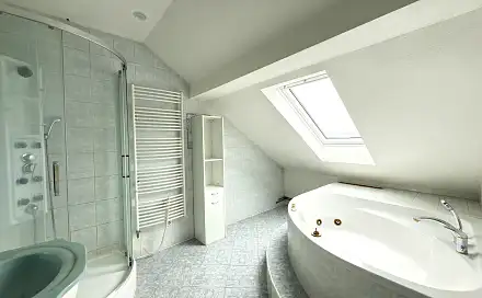 Pronájem bytu 3+1 160 m²