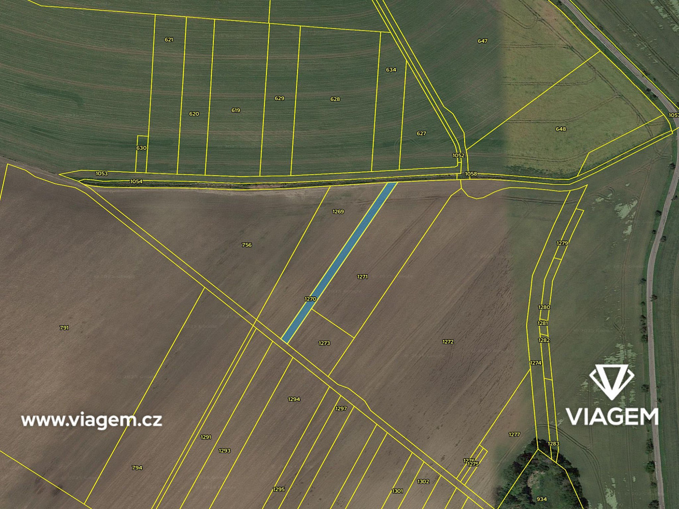Prodej pole 240 m² – fotografie 4