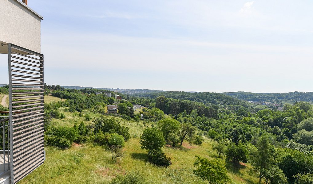 Prodej bytu 4+kk 135 m², Praha – náhled fotky 27