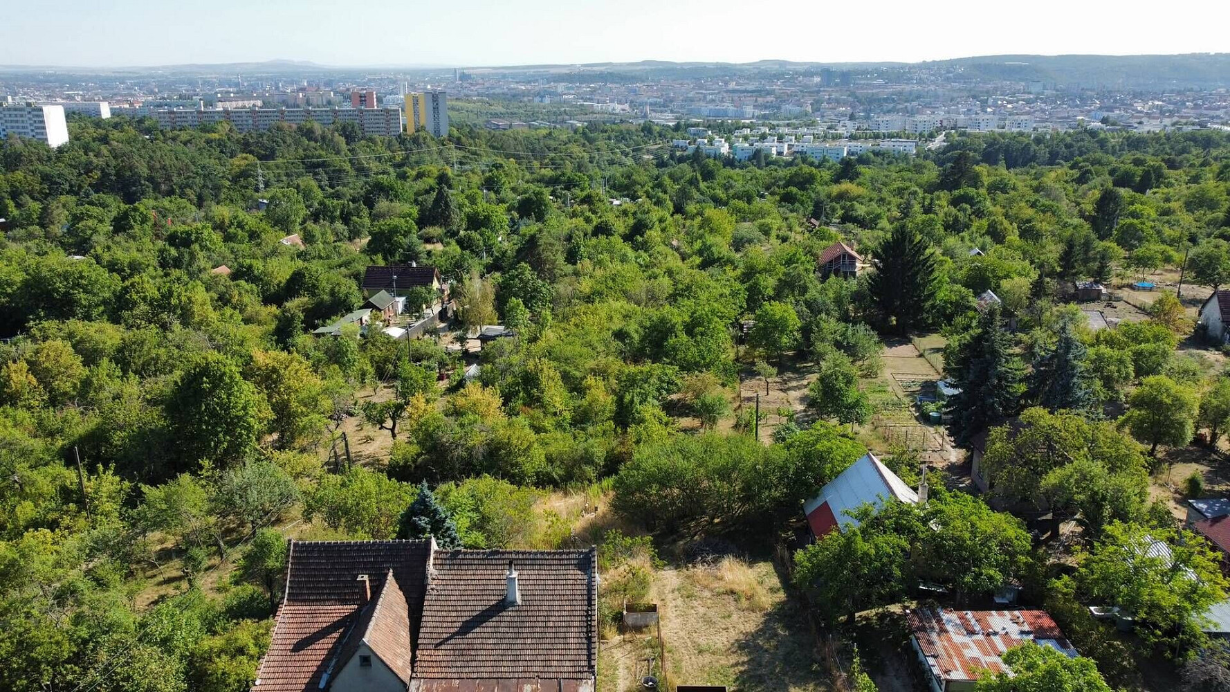 Prodej zahrady 463 m² – fotografie 3