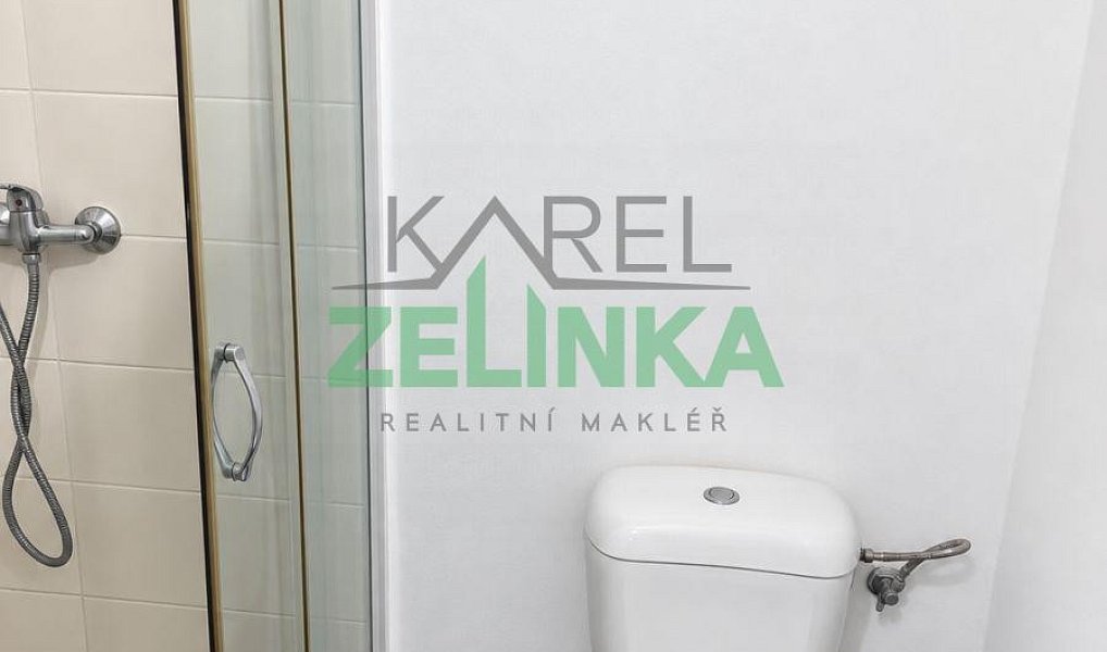 Pronájem bytu 1+1 40 m², Praha – náhled fotky 4