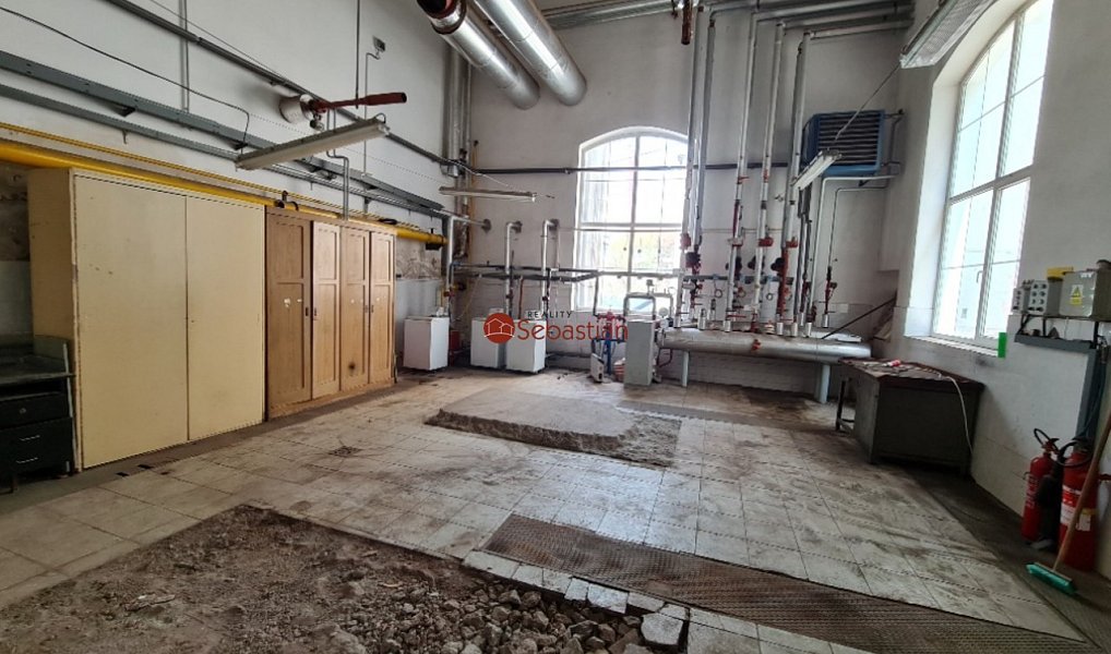 Pronájem komerčního objektu (jiného typu) 185 m², Pelhřimov – náhled fotky 3