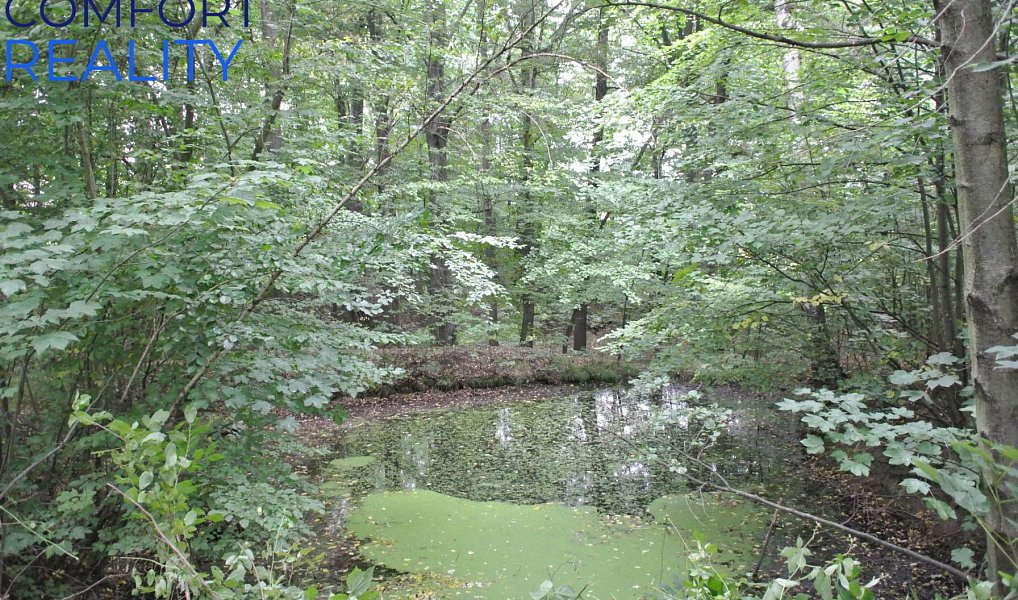 Prodej lesa 5 996 m², Havířov – náhled fotky 5