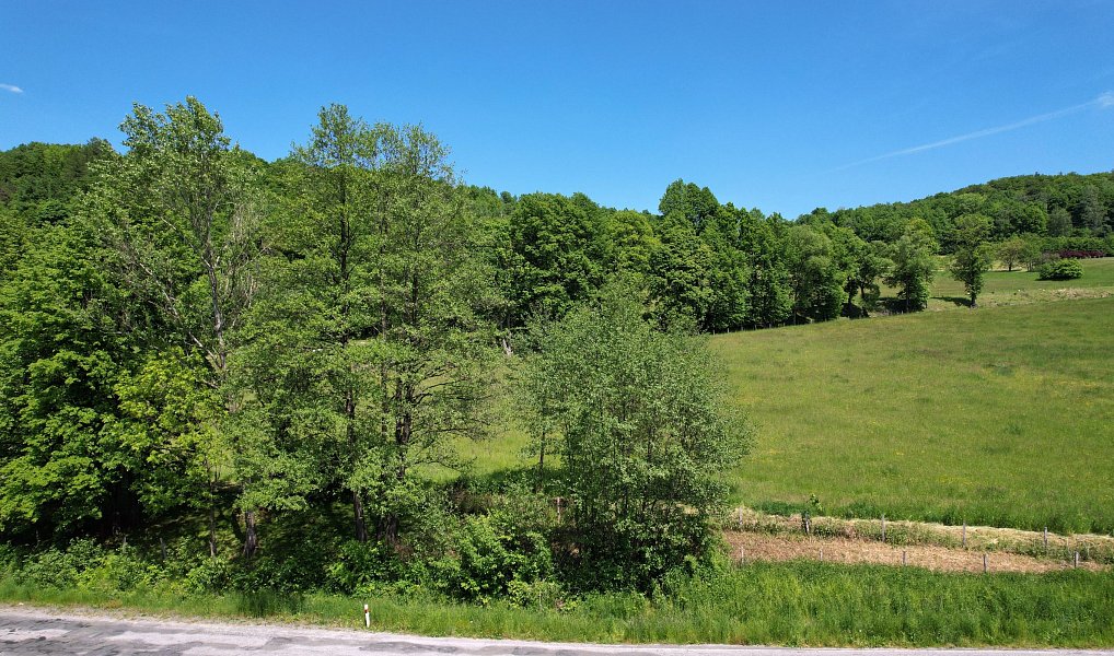 Prodej chaty/chalupy 42 m² s pozemkem 676 m², Zlaté Hory – náhled fotky 16