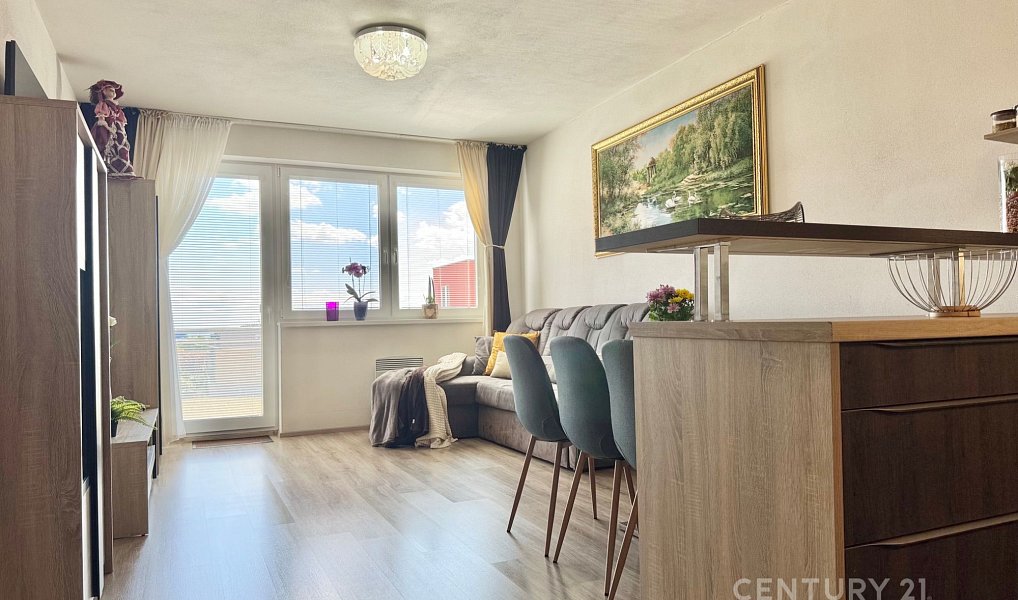 Prodej bytu 3+kk 68 m², Brno – náhled fotky 5
