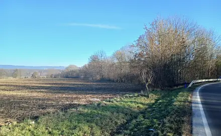Dražba pozemku 31 766 m², Mladeč, okres Olomouc