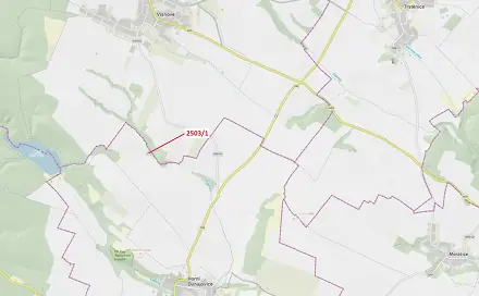 Dražba lesa 164 m², Višňové