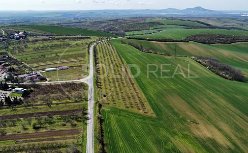 Prodej pole 24 643 m², Horní Bojanovice, okres Břeclav