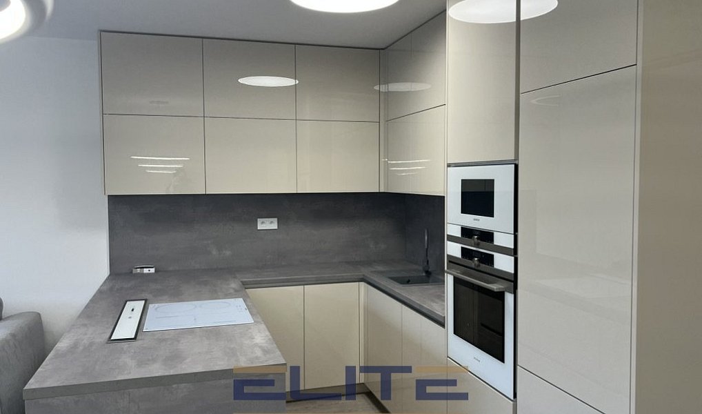 Pronájem bytu 3+kk 106 m², Liberec – náhled fotky 6