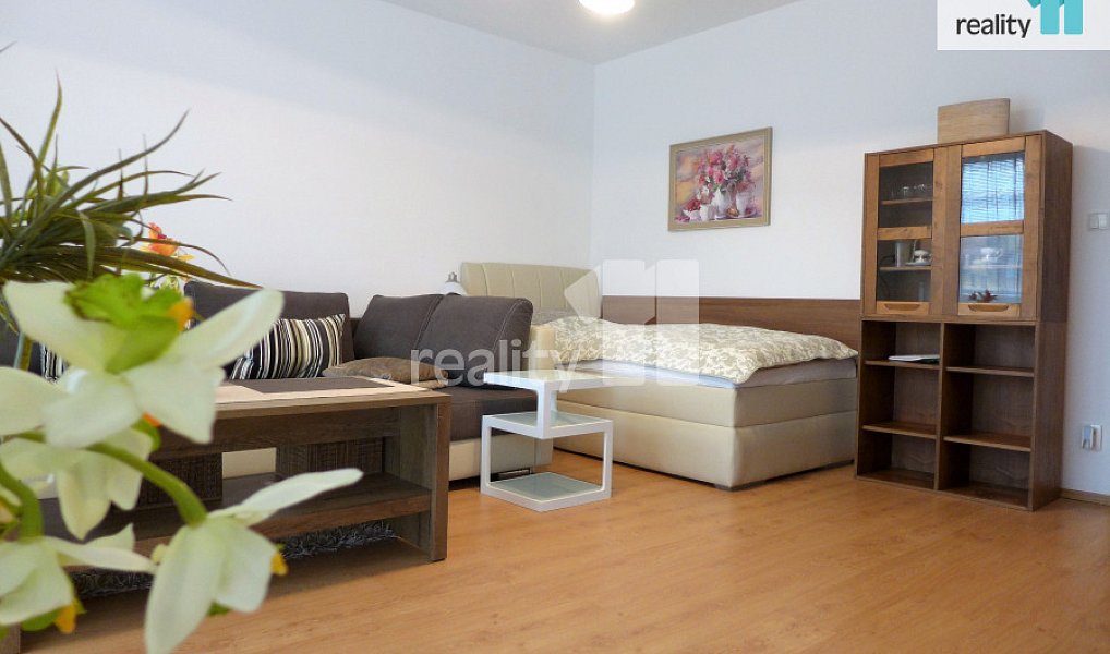 Prodej bytu 1+1 50 m², Karlovy Vary – náhled fotky 7