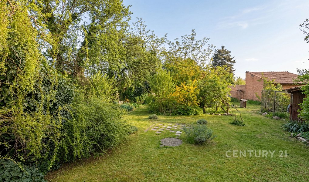 Prodej domu 246 m² s pozemkem 1 425 m², Brno – náhled fotky 8