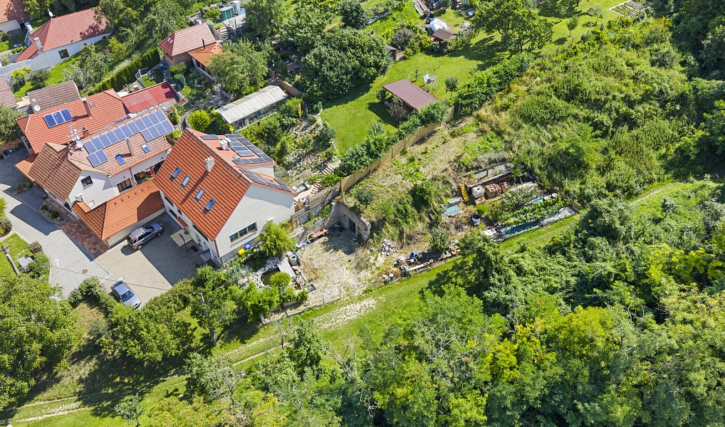 POZEMEK S VINNÝM SKLEPEM POD PÁLAVOU, HORNÍ VĚSTONICE, Horní Věstonice – náhled fotky 2