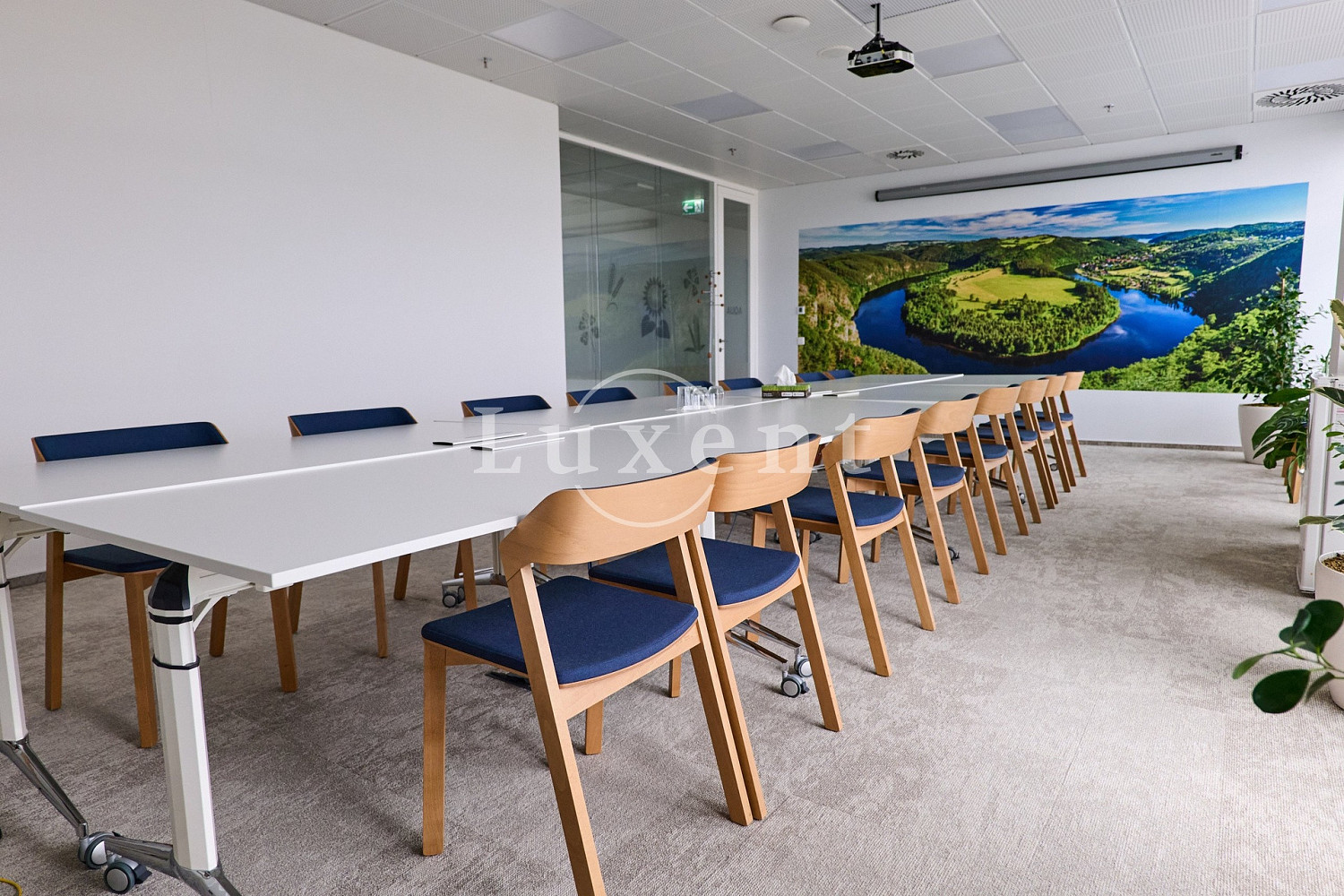 Pronájem kanceláře 197 m² – fotografie 5