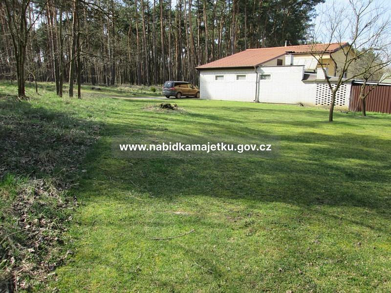 Prodej lesa 100 m² – fotografie 3
