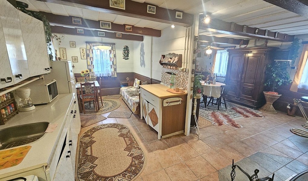 Prodej domu 350 m² s pozemkem 2 735 m², Labská Stráň – náhled fotky 16