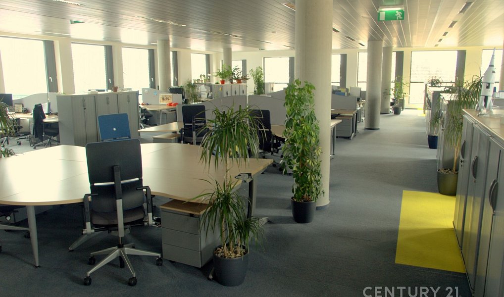 Pronájem kanceláře 239 m², Praha – náhled fotky 27