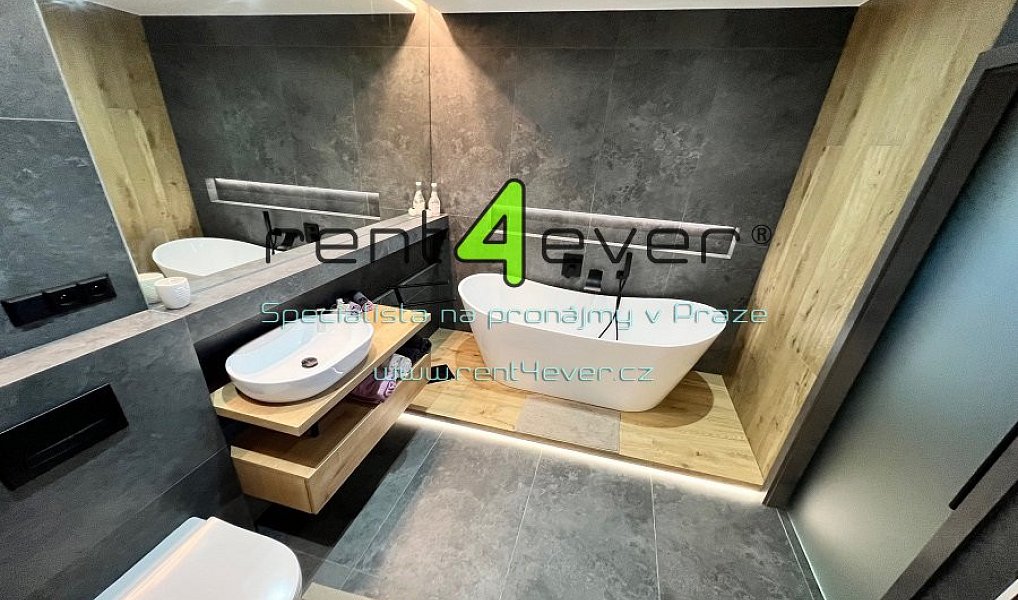 Pronájem domu 118 m² s pozemkem 521 m², Nová Ves pod Pleší – náhled fotky 3