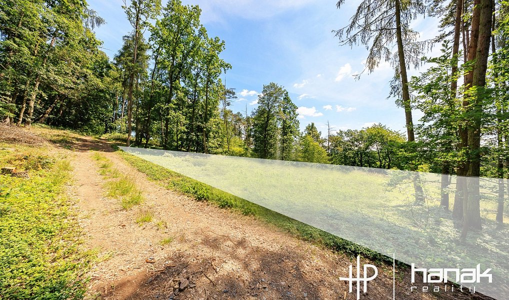 Prodej domu 127 m² s pozemkem 3 150 m², Hluchov – náhled fotky 5