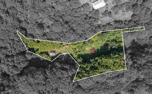 Prodej chaty/chalupy 74 m² s pozemkem 3 117 m², Husova, Jílové u Prahy, okres Praha-západ