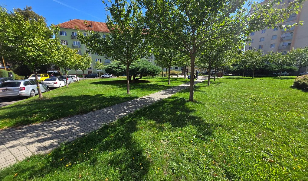 Prodej bytu 2+1 55 m², Kynšperk nad Ohří – náhled fotky 19