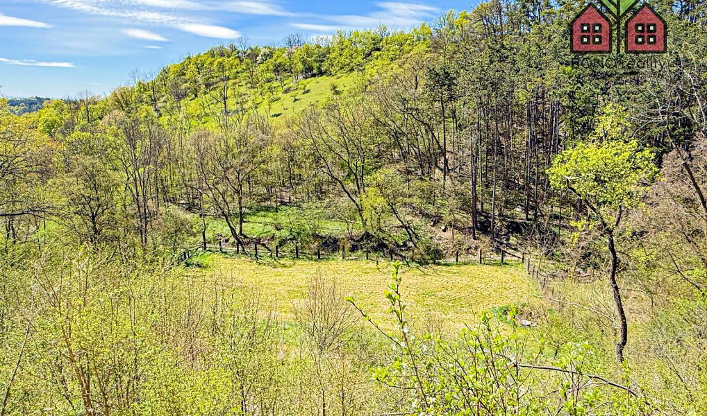 Prodej zahrady 4 999 m², Žitenice – náhled fotky 16