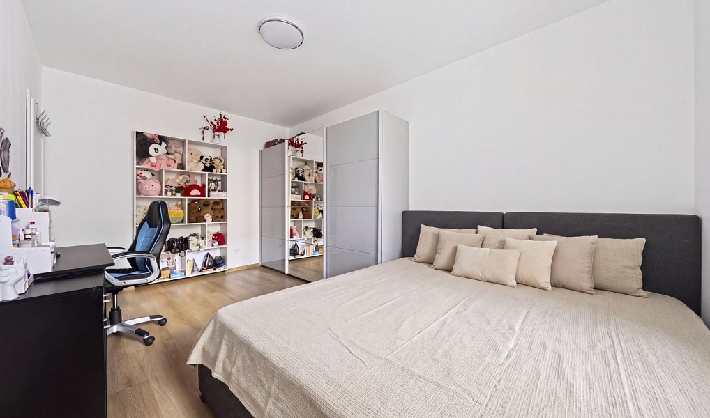 Prodej domu 381 m² s pozemkem 261 m², Plzeň – náhled fotky 4