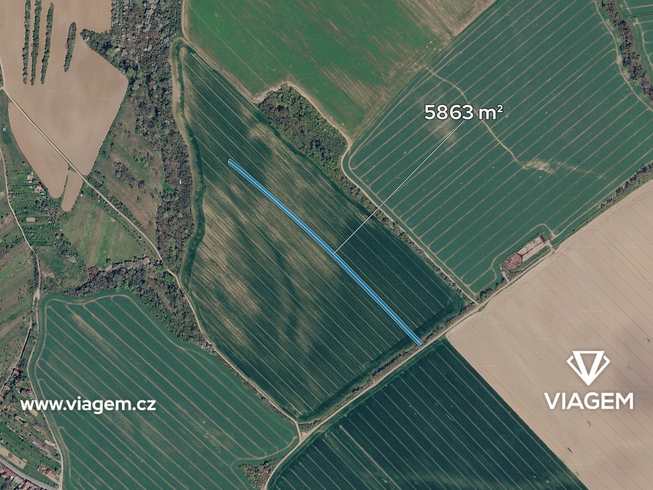 Prodej pole 1 710 m² – fotografie 2