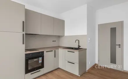 Pronájem bytu 1+kk 29 m², Topolová, Milovice - Mladá, okres Nymburk
