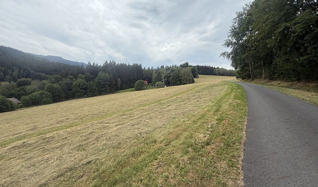 Prodej louky 84 928 m², Hamry – náhled fotky 4