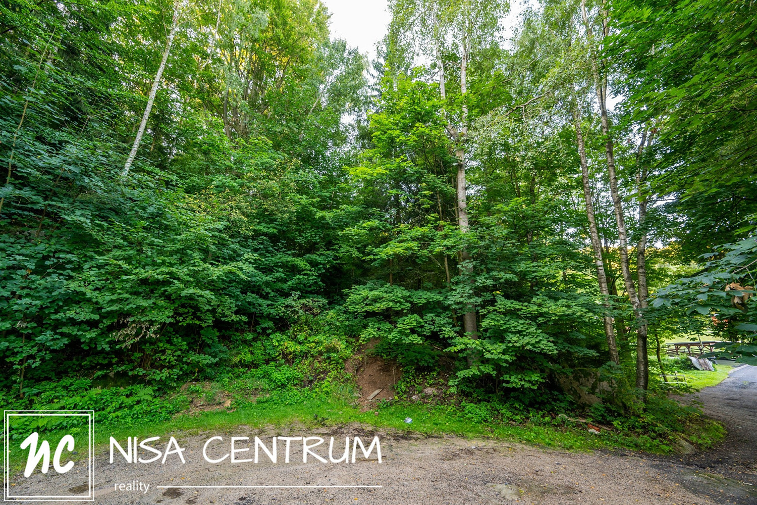 Prodej lesa 5 031 m² – pohled 3