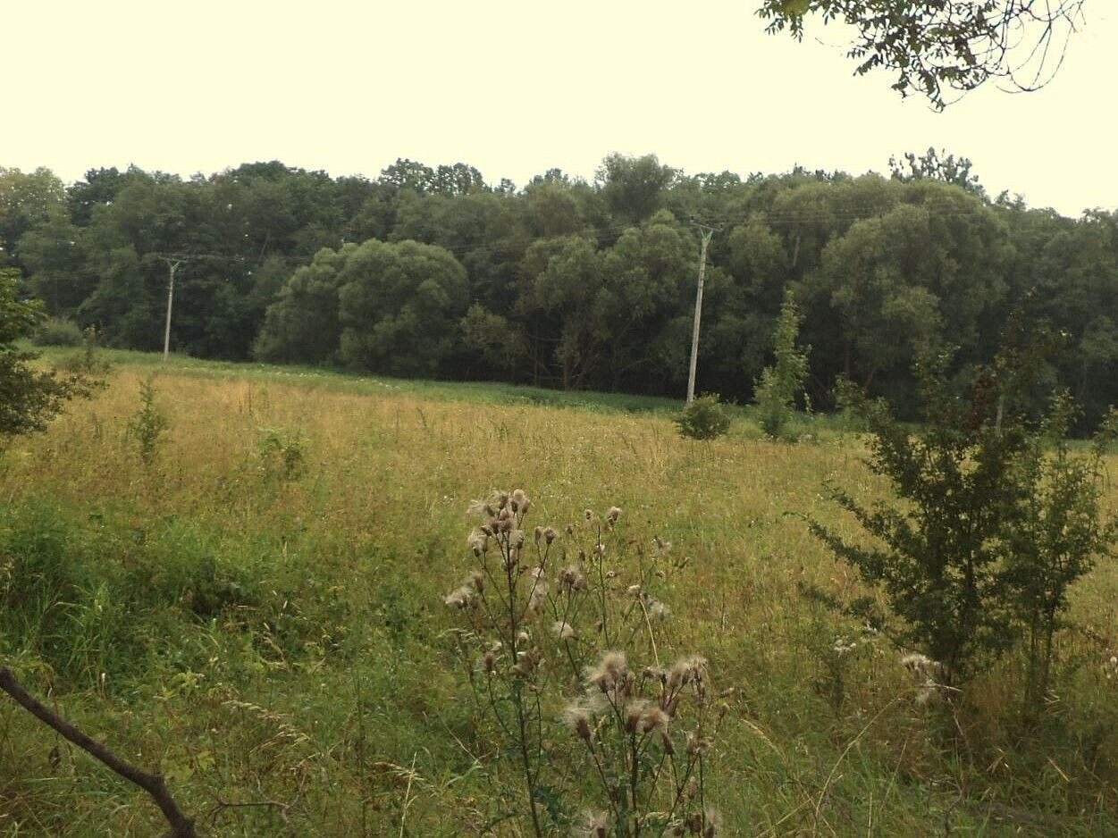 Prodej pole 28 977 m² – fotografie 3