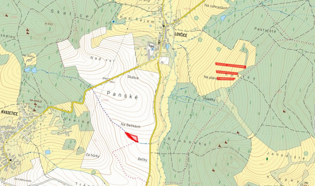 Prodej pole 11 167 m², Plánice – náhled fotky 4