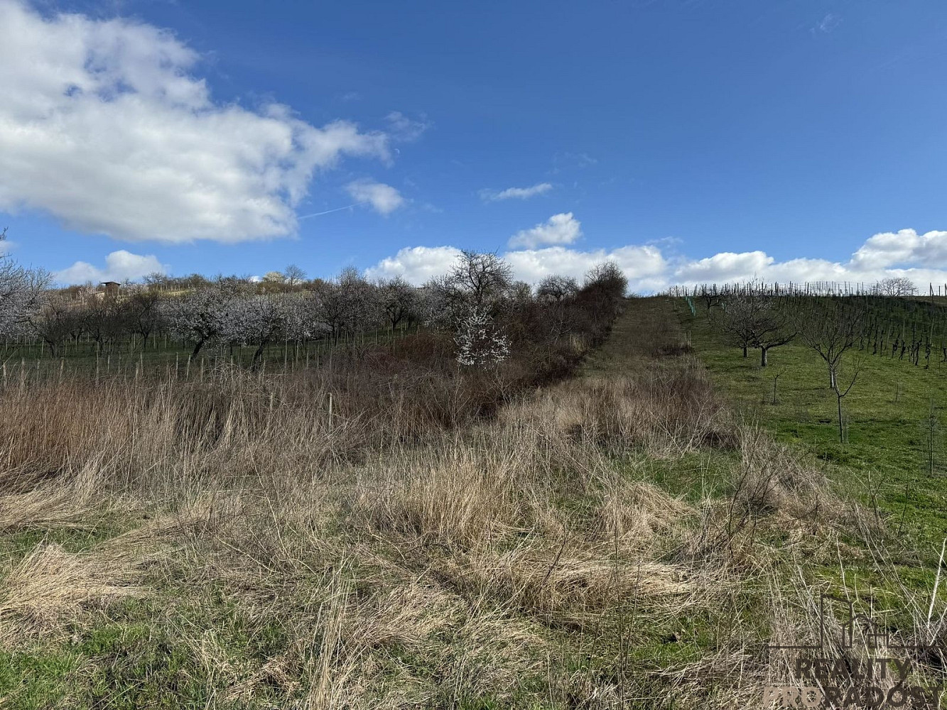 Prodej pozemku 1 540 m²