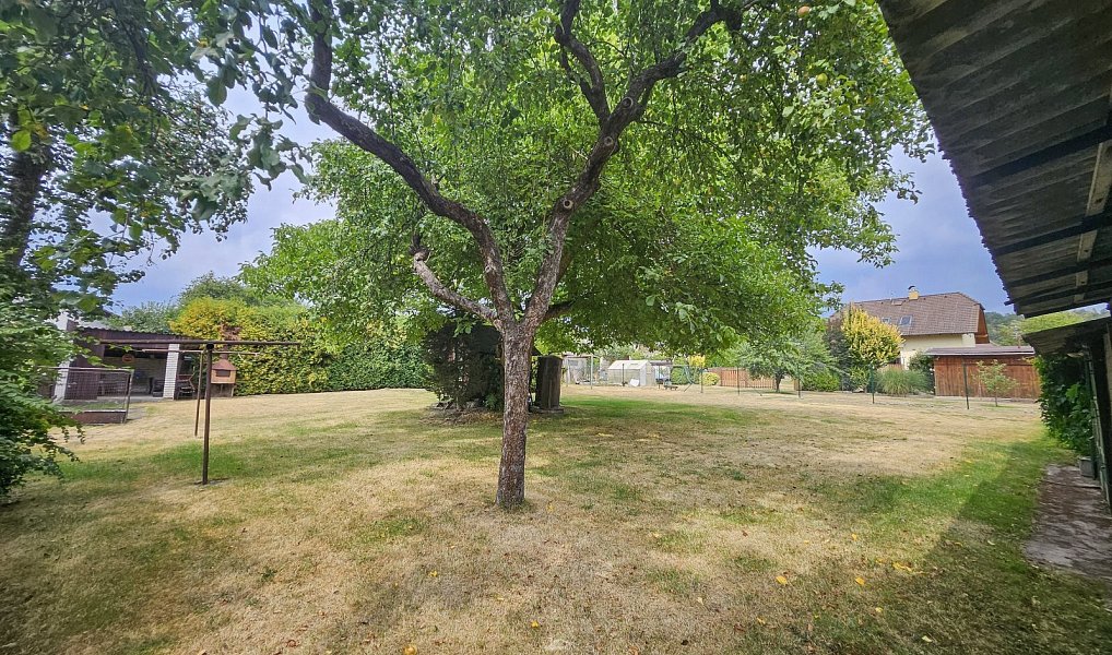 Prodej domu 250 m² s pozemkem 1 373 m², Boseň – náhled fotky 16